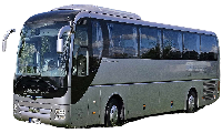 Man Lion's Coach